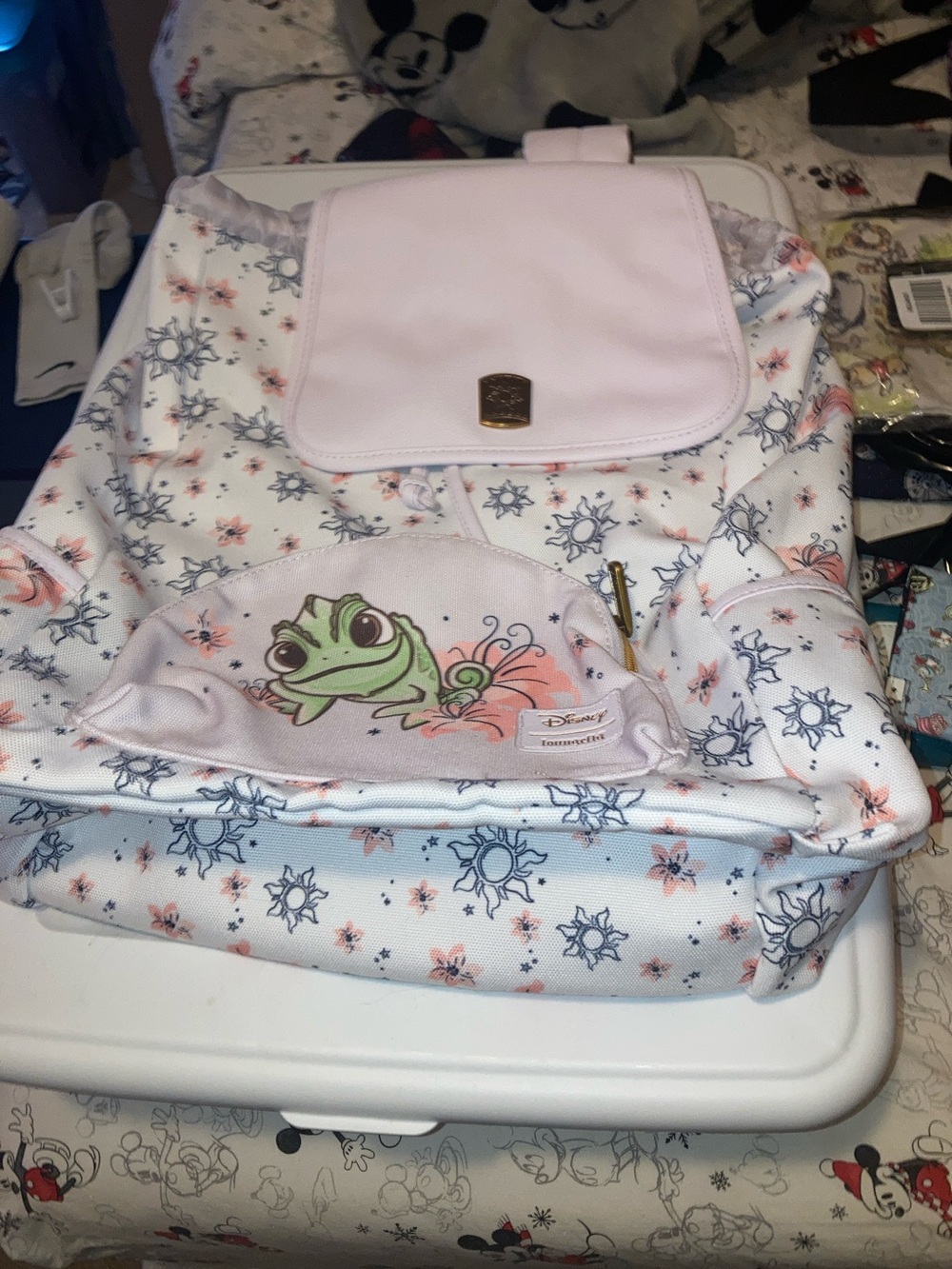 Rapunzel Back pack